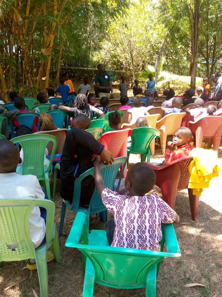 High School and Primary School program